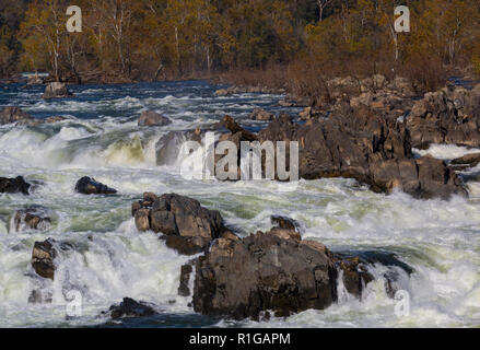 Der Great Falls auf dem Potomac River in Virginia, USA Stockfoto