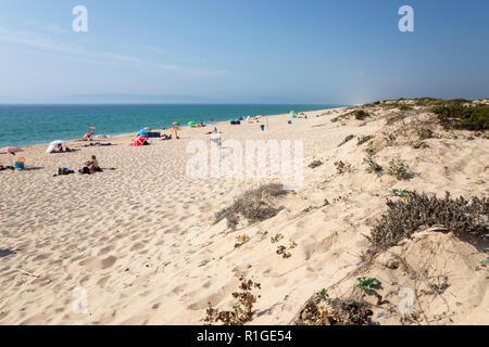 Praia Da Comporta in der Nachmittagssonne, Comporta, der Halbinsel Troia, Setubal, Lissabon, Portugal, Europa Stockfoto