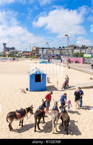 Great Yarmouth Strand Kinder nähert sich Esel am Strand, eselreiten am Strand von Parkers Donkeyworld Great Yarmouth in Norfolk England England Stockfoto