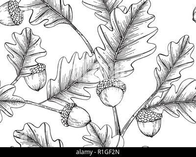 Eichenlaub Zeichnung Abbildung von Hand gezeichnete Linie Art. Stock Vektor