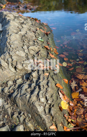 Herbst Szene von vulkanischen Gesteinen in See, Maar bei Ulmen, Ulmen, West Eifel Volcanic Field, Rheinland, Deutschland, Europa Stockfoto