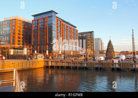 Boote und Skyline von Gebäuden im neu sanierten Südwesten Hafengebiet von Washington, DC gesehen vom Wasser mit Weihnachtsbaum im Herbst Stockfoto