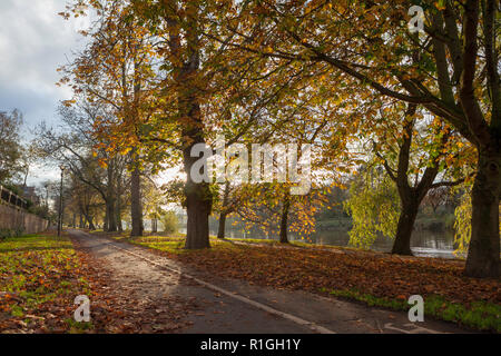 Ein Herbstblick auf den New Walk, eine georgische Promenade am Fluss Ouse bei York Stockfoto