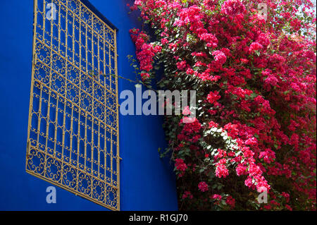 18-04-11. Marrakesch, Marokko. Die Majorelle Garten (Jardin Majorelle,) ist eine zweieinhalb Hektar großen botanischen Garten und Landschaft Garten in Marr Stockfoto