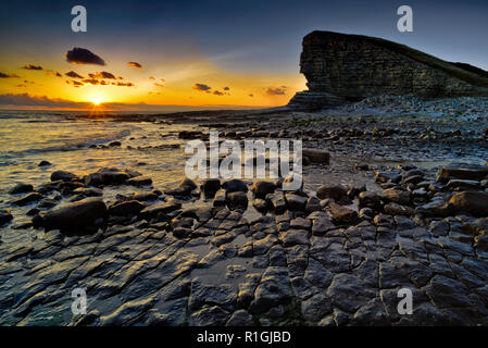 Nash, bei Ebbe Stockfoto