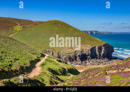 Kornischen Klippen von Porth Kapelle Strand und des South West Coast Path, Cornwall, Großbritannien Stockfoto