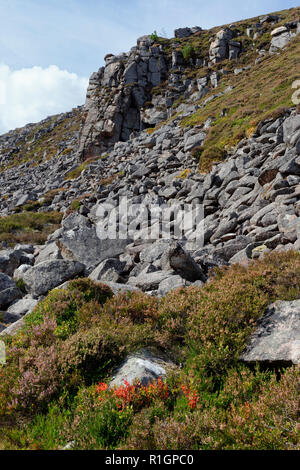 Granit Felsen fällt, Chalamain Lücke, Cairngorm Mountains, Schottland Stockfoto