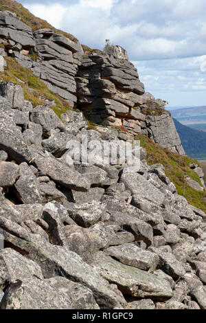 Granit Felsen fällt, Chalamain Lücke, Cairngorm Mountains, Schottland Stockfoto