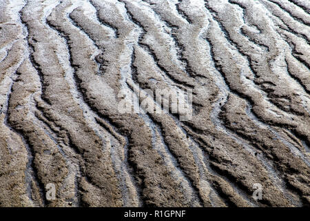 Welligkeit Textur im Schlamm eines Flusses Ufer bei Ebbe, Themse, London, UK Stockfoto