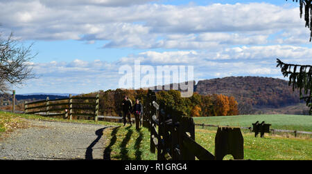 Paar gepflasterten Weg entlang bewaldeten Zaun im Herbst Stockfoto