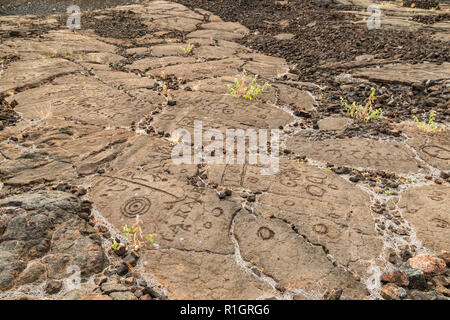 Felszeichnungen in Waikoloa Feld, auf der King's Trail ('Mamalahoa'), in der Nähe von Kona auf der grossen Insel von Hawaii. In vulkanischen Felsen. Stockfoto