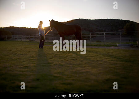 Junge Erwachsene stehendes Mädchen mit einem Pferd in einem Feld. Stockfoto
