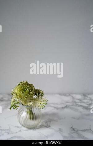 Mini Grün Füllstoff in ein Glas Bud Vase auf einem Marmor und hellen Hintergrund Stockfoto