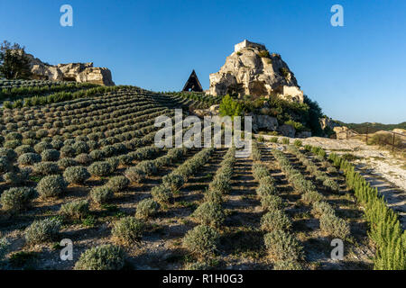 Château des Baux de Provence, Felsen, Sonnenuntergang, Provence, Frankreich Stockfoto