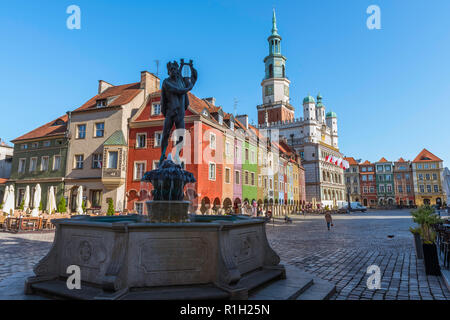 Posener Altstadt, mit Blick auf den Marktplatz (Stary Rynek) in Posen mit dem Apollo Brunnen (links) und der Renaissance Rathaus in der Ferne, Polen. Stockfoto