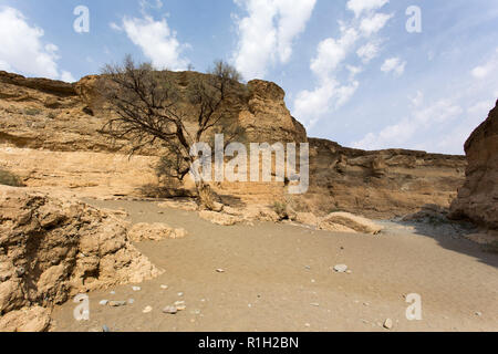 Foto im Sesriem Canyon, Namibia Stockfoto