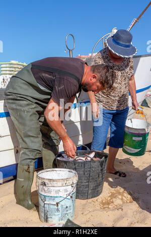 Lokale fischer Verkauf frisch gefangenen Fisch, am Strand von Monte Gordo, Algarve, Portugal Stockfoto