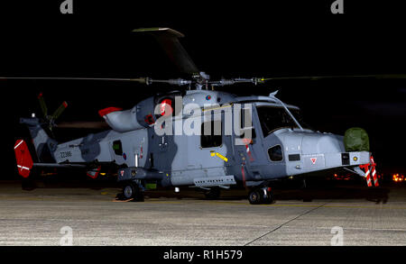 Armee Wildcat Hubschrauber, ZZ386 Stockfoto