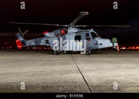 Armee Wildcat Hubschrauber, ZZ386 Stockfoto