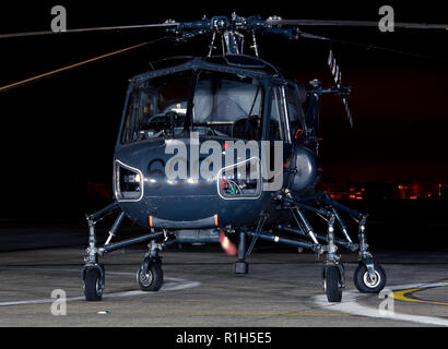 Wasp XT 420, 606 Stockfoto