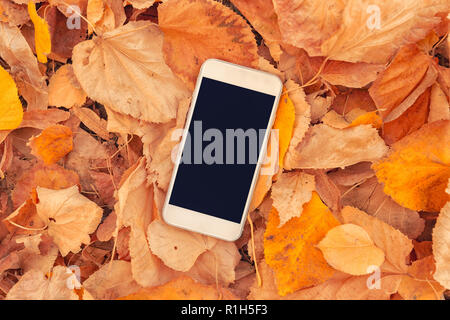 White Smartphone mit leeren Mock up-Bildschirm auf bunte Herbstliche Blätter Hintergrund Stockfoto