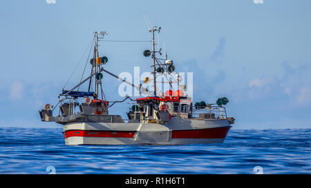 Nachhaltiges kommerzielles Hookline Fischereifahrzeugs in norwegischen Fjord Stockfoto