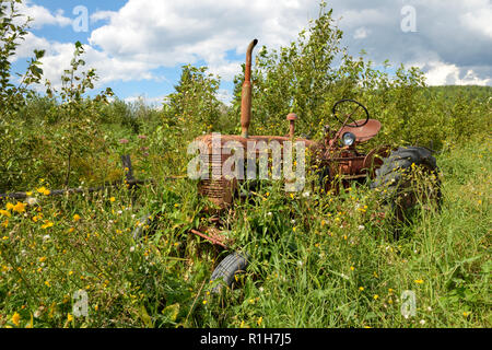 Alten Traktor an der Grenze von einem verlassenen Bauernhof gefunden Stockfoto