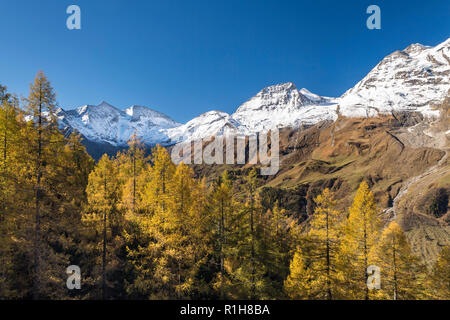 Die herbstlichen Lärchen vor schneebedeckten Berggipfeln, Großglockner Hochalpenstraße, Brennkogel, Hohe Dock Stockfoto