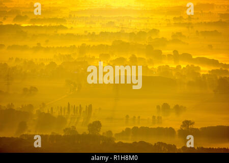 Landschaft in der Morgensonne, versetzten Reihen von Bäumen, Ansicht von Hamm in Richtung Welver-Scheidingen, Ruhrgebiet Stockfoto