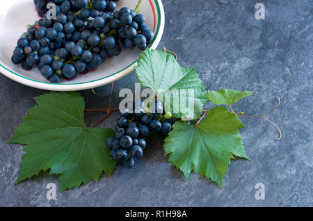 Frische Trauben und Blätter in einer weißen Schüssel auf Granit Horizontal Stockfoto