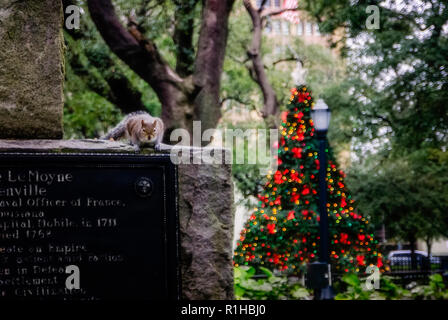 Ein Eichhörnchen sitzt auf einer Statue neben einem Weihnachtsbaum im Bienville Square, Dez. 18, 2017 in Mobile, Alabama. Stockfoto