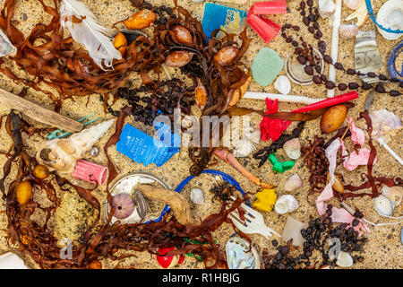 Echten Kunststoff Umweltverschmutzung, einschließlich single use Kunststoff, auf Strand gespült, gemischt mit Algen, Muscheln und Federn Stockfoto