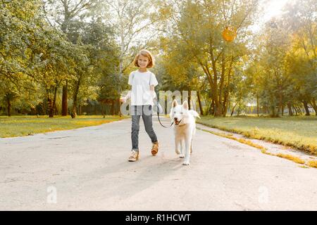 Kinder und jugendliche Jungen und Mädchen zu Fuß auf der Straße in den Park mit einem weißen Hund husky. Stockfoto