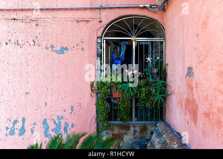 Charmante Fenster auf einem rosa Wand in Vernazza Italien Stockfoto