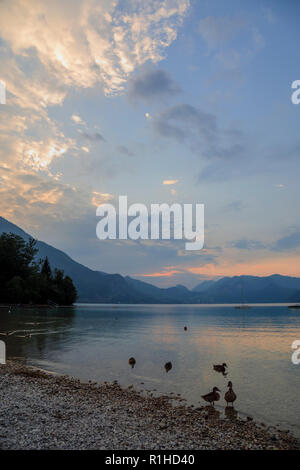 Wolfgangsee bei Sonnenuntergang, in der Nähe von St Gilgen, Österreich Stockfoto