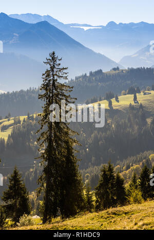 Panoramablick Jaunpass im Simmental, Alpen, Schweiz Stockfoto