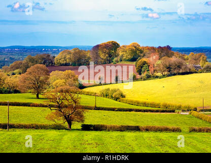 Blick über die Landschaft von Cheshire, als die ersten Anzeichen von Herbst sichtbar werden. Stockfoto