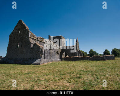 Die Wiese vor dem Hore Abbey in Irland in der Nähe von Cashel an einem sonnigen Tag Stockfoto