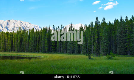 Gipfel, Täler, Wiesen und andere Landschaft in den Rocky Mountains von Kanada Stockfoto