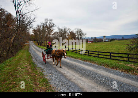 UNITED STATES - 12. November 2018: Foren Hillman von Bloomfield, Va., fährt ihre Welsh Pony entlang Willisville Straße in westliche Loudoun County. (Foto durch Stockfoto