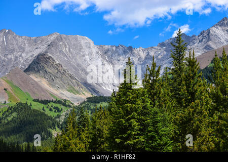 Gipfel, Täler, Wiesen und andere Landschaft in den Rocky Mountains von Kanada Stockfoto