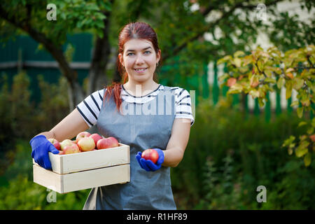 Bild der glücklichen Mädchen Gärtner mit Ernte der Äpfel in Holzkiste im Garten im Sommer Tag Stockfoto