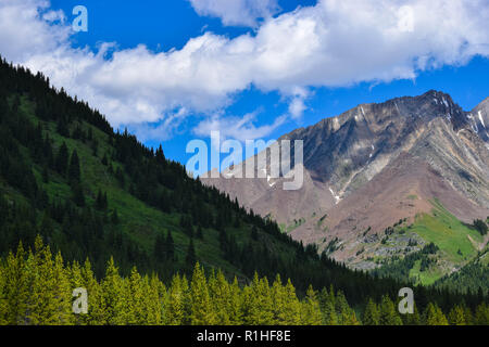 Gipfel, Täler, Wiesen und andere Landschaft in den Rocky Mountains von Kanada Stockfoto