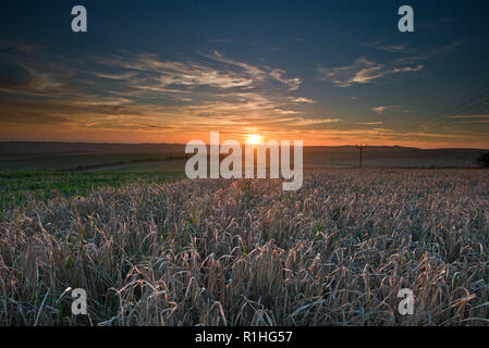 Sonnenuntergang über den South Downs National Park, East Sussex, England. Großbritannien Stockfoto