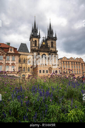 Historische Tyn Kirche in der Prager Altstadt mit Gebäuden und Blumen im Vordergrund. Stockfoto