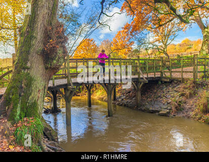 Pooh Brücke Ashdown Forest. Stockfoto