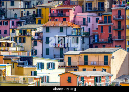 Bunte Häuser in Manarola Village Italien Stockfoto