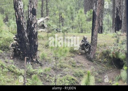 Soldaten mit 1St Bataillon, 23 Infanterie Regiment, Vorauszahlung auf ein Ziel bei einem Umzug Demonstration zu kontaktieren, Sept. 24, 2018, in Chaubattia militärische Station, Indien. Dies war Teil der Übung Yudh Abhyas 18, eine bilaterale Ausbildung Szenario entworfen, einem gemeinsamen taktischen und technischen Verständnis zwischen den zusammengeschlossen, um militärische Organisationen zu fördern. Stockfoto