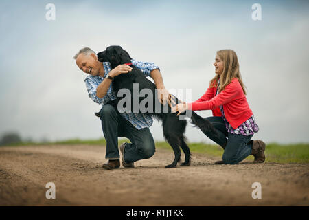 Hund spielerisch Springen auf seinen Besitzer. Stockfoto
