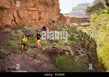 Gruppe von lächelnden Freunde wandern durch einen Canyon Park. Stockfoto